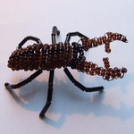 bead stag beetle